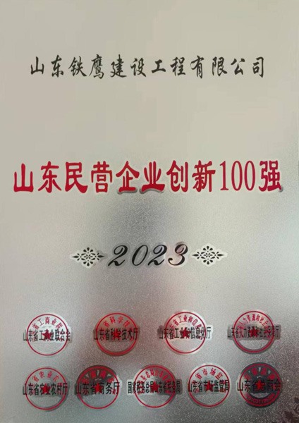 山东民营企业创新100强