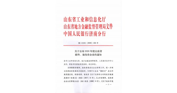 热烈祝贺山东铁鹰建设工程有限公司 成功入选2020年度山东省瞪羚企业